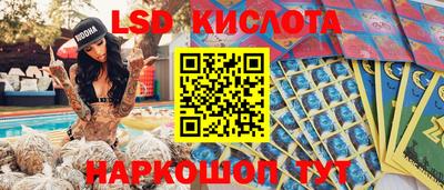 шишки Гай