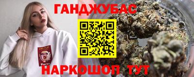 шишки Гай