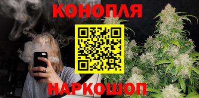 шишки Гай