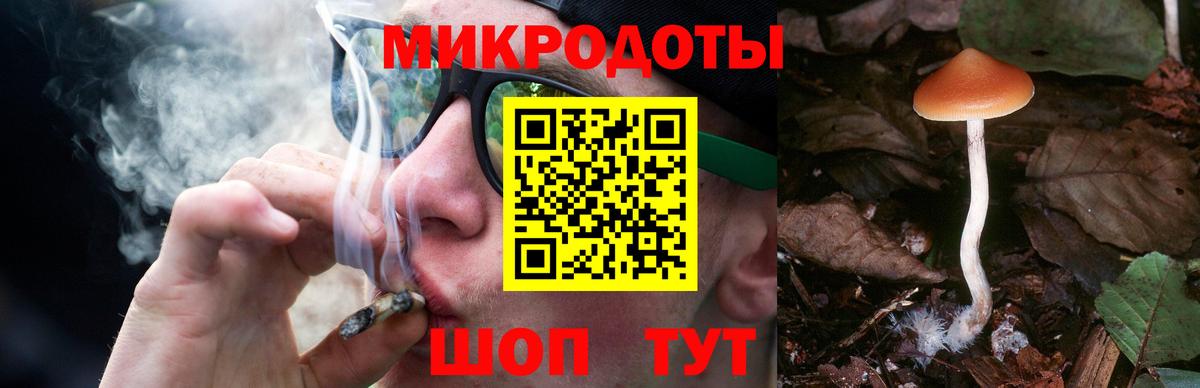 Псилоцибиновые грибы Cubensis  где найти   Губкин  Псилоцибиновые грибы мухоморы  Вход с VPN 